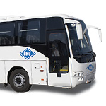 CNG bus