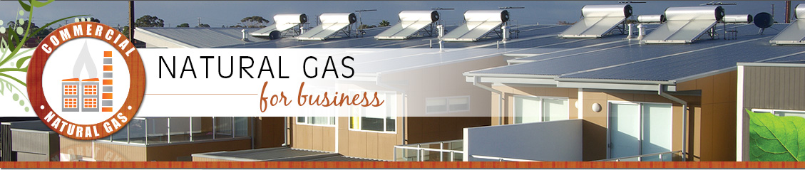 Natural Gas for business Green building